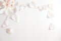 Wedding styled stock photography with peony flower head and petals lying on white background. Flat lay composition
