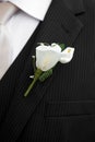 Wedding suit with corsage Royalty Free Stock Photo