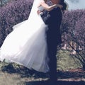 Wedding sweet couple kissing, bride and groom Royalty Free Stock Photo