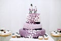 Wedding sweets, blueberry cake