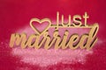 wedding symbol. just married inscription on a pink fuchsia background