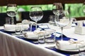 Wedding table. Close-up of wine glass Royalty Free Stock Photo