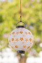 Wedding table decoration, flowers in vase. above. Shallow depth of field Royalty Free Stock Photo