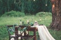 Wedding table decoration and table setting in the field at the pine tree on background. Rustic style Royalty Free Stock Photo