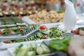 Wedding Table With Food. Snacks and Appetizer on the Table. Fish and Raw Meat with Vegetables. Salad in Foreground Royalty Free Stock Photo