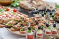 Wedding Table With Food. Snacks and Appetizer on the Table. Bread with Fish and Raw Meat with Vegetables. Royalty Free Stock Photo