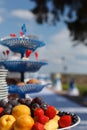 Wedding table with fresh fruits Royalty Free Stock Photo