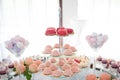 Wedding tasty decorations. Candy bar. Sweet  table Royalty Free Stock Photo