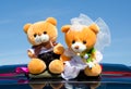 Wedding teddy bears