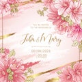 Wedding template romantic women`s floral card, Hollyhocks  flowers Royalty Free Stock Photo