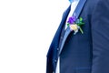 Wedding theme. The groom in a blue suit with a buttonhole Boutonniere isolated on white background Royalty Free Stock Photo