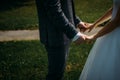 Wedding theme, holding hands newlyweds on green grass background. Hands of the bride and groom close-up. A couple on their wedding Royalty Free Stock Photo