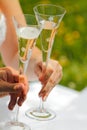 Wedding toast Royalty Free Stock Photo