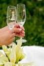 Wedding toast Royalty Free Stock Photo