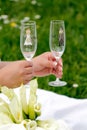 Wedding toast Royalty Free Stock Photo