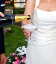 Wedding toast Royalty Free Stock Photo