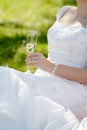 Wedding toast Royalty Free Stock Photo