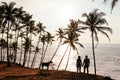 Wedding travel. Silhouette of lovers at sunset. Honeymoon trip. Man and woman on the beach. Lovers among palm trees. Young couple