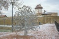 Wedding tree nest to Hermann castle, Narva, Estonia Royalty Free Stock Photo