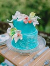 Wedding turquoise cake with sugar flowers. Wedding banquet