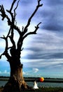 Wedding at Ubein Bridge