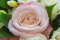 Wedding, Valentine`s day. Beautiful delicate wedding bouquet white and pink roses, wedding rings of the bride and groom Royalty Free Stock Photo