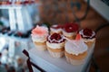 Wedding variety dessert cakes with tasty buffet color decorated with whipped red cream, sweet muffins, candy bar, buffet