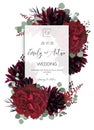 Wedding vector Floral invite, invitation save the date card design. Red vine rose flower, burgundy dahlia, eucalyptus greenery br Royalty Free Stock Photo