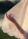 Wedding Veil