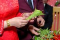 Wedding Vietnam Betel and bride groom to worship their ancestors