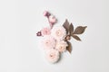 wedding vintage concept. beautiful flower arrangement tinted in pink gradient on a light background. Royalty Free Stock Photo