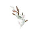 Wedding watercolor branch with leaves Royalty Free Stock Photo