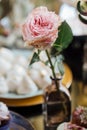 Wedding. Wedding details. Mr and Mrs. Delicious wedding reception candy bar table. Sweet holiday buffet with cupcakes Royalty Free Stock Photo