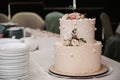 wedding white cake with tiers decorated with rose flowers Royalty Free Stock Photo