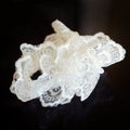 Wedding white garter