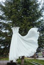 Wedding white lace long dress hangs on a hanger on the green tree Royalty Free Stock Photo