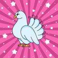 Wedding white pigeon. Cute cartoon character. Colorful vector illustration. Isolated on color background. Template for your design