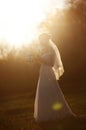 Wedding woman silhouettes evening park Royalty Free Stock Photo