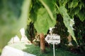 Wedding Wood Sign against the green background. Royalty Free Stock Photo