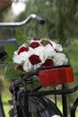 Weddingbouquet on the bike Royalty Free Stock Photo
