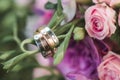 Weddings rings with dimonds, bouquet colorfull roses on a background