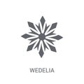 Wedelia icon. Trendy Wedelia logo concept on white background fr