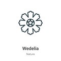 Wedelia outline vector icon. Thin line black wedelia icon, flat vector simple element illustration from editable nature concept