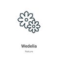 Wedelia outline vector icon. Thin line black wedelia icon, flat vector simple element illustration from editable nature concept