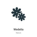 Wedelia vector icon on white background. Flat vector wedelia icon symbol sign from modern nature collection for mobile concept and