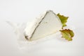Wedge of Aged Cheese with Green Leaves