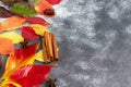 Wedge fallen leaves on a gray stone background. Backgrounds, textures. Autumn concept