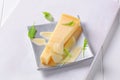 Wedge of hard cheese Royalty Free Stock Photo