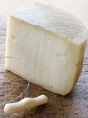 Wedge of Pecorino Cheese Royalty Free Stock Photo