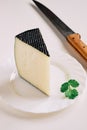 Wedge of semi-cured Manchego cheese Royalty Free Stock Photo